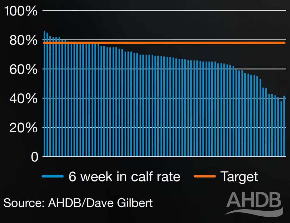 Figure 1. Six-week in-calf rate